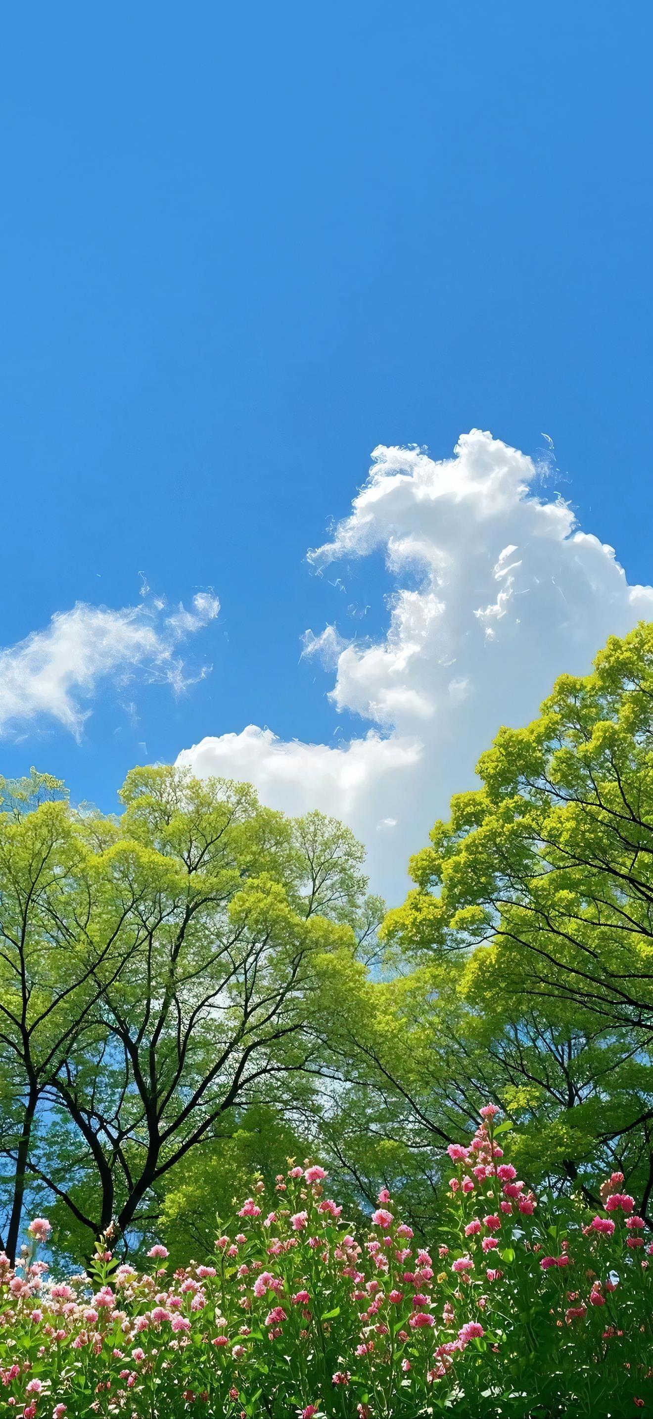 交换春天,壁纸,壁纸分享,高清壁纸,小清新背景图,清新治愈系,春天壁纸,治愈系壁纸,治愈系背景,春日背景图,全屏壁纸,手机壁纸,今日壁纸,治愈系调色,清新壁纸,每日壁纸,你的壁纸该换了,春夏,风景壁纸