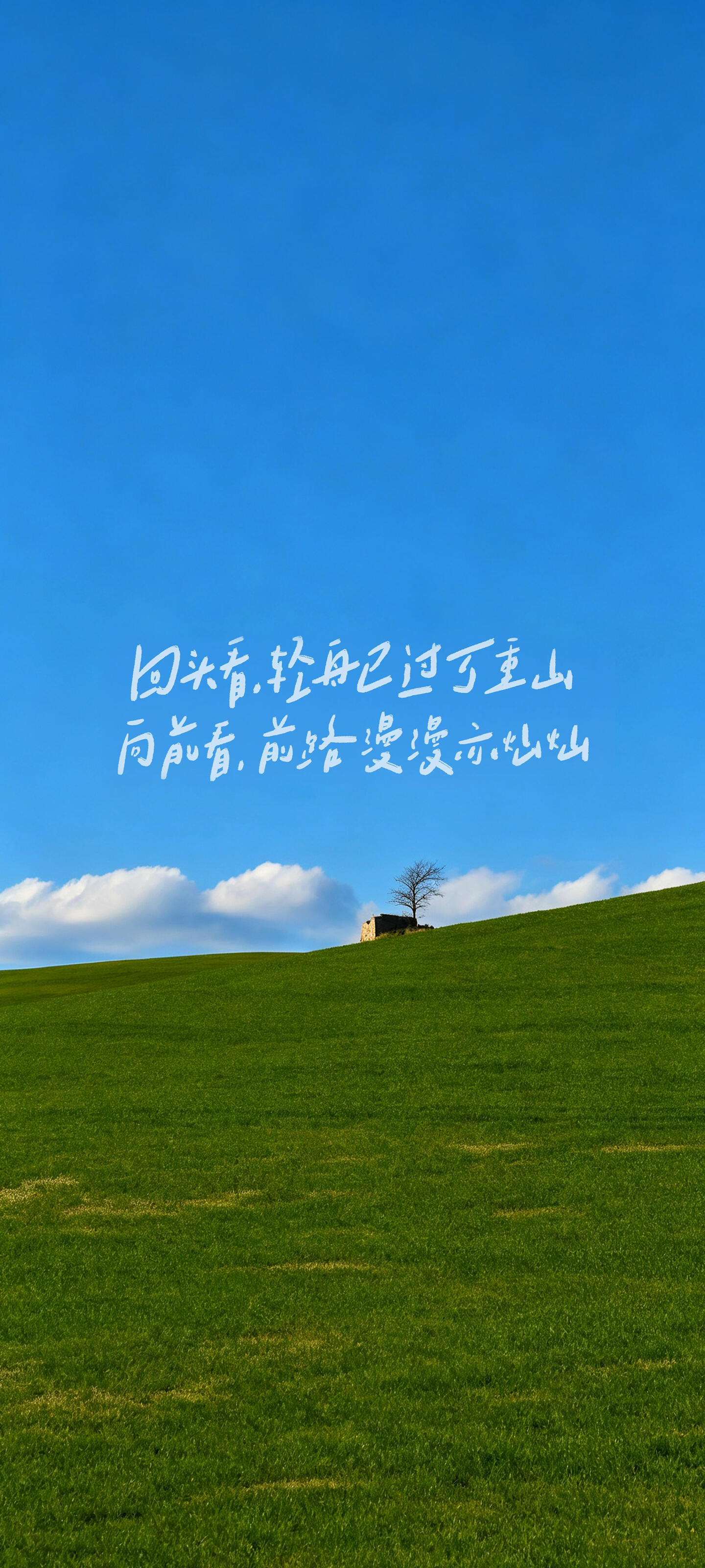 壁纸分享,无水印背景图,每日壁纸,氛围感背景图,神仙壁纸,高级小众壁纸私藏,背景图,手机壁纸,高清壁纸,全屏壁纸