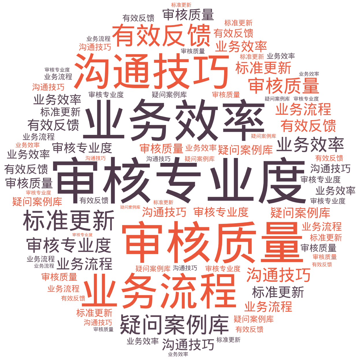 词云图,文字云图,审核专业度,业务效率,审核质量,沟通技巧,业务流程,有效反馈,疑问案例库,标准更新