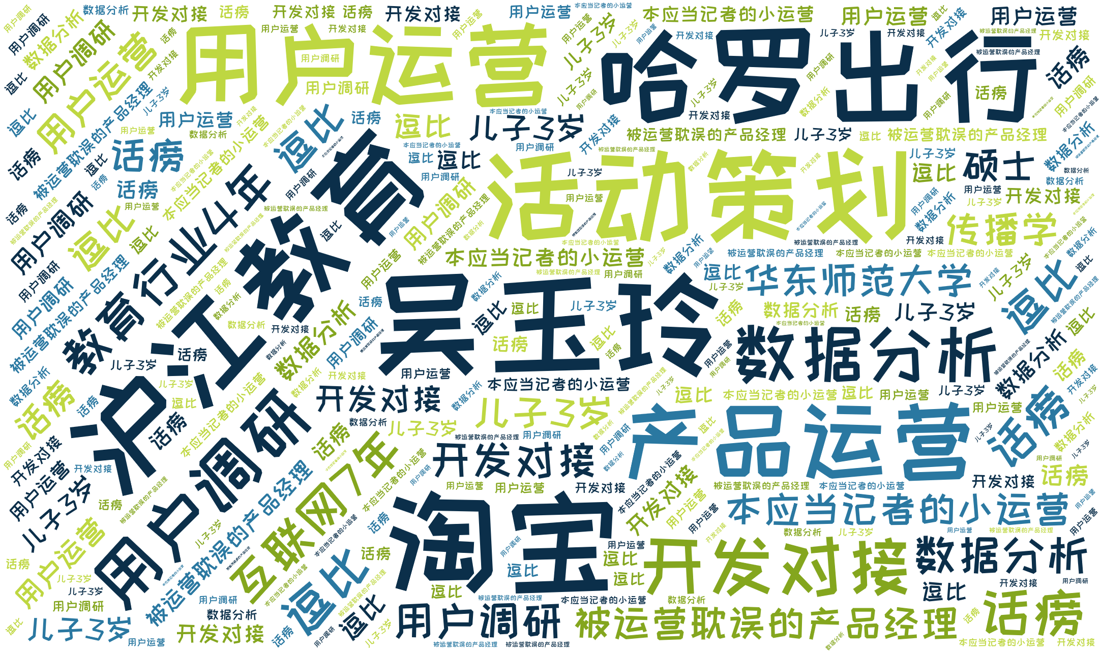词云图,文字云图,吴玉玲,淘宝,沪江教育,哈罗出行,活动策划,用户运营,产品运营,用户调研,开发对接,数据分析