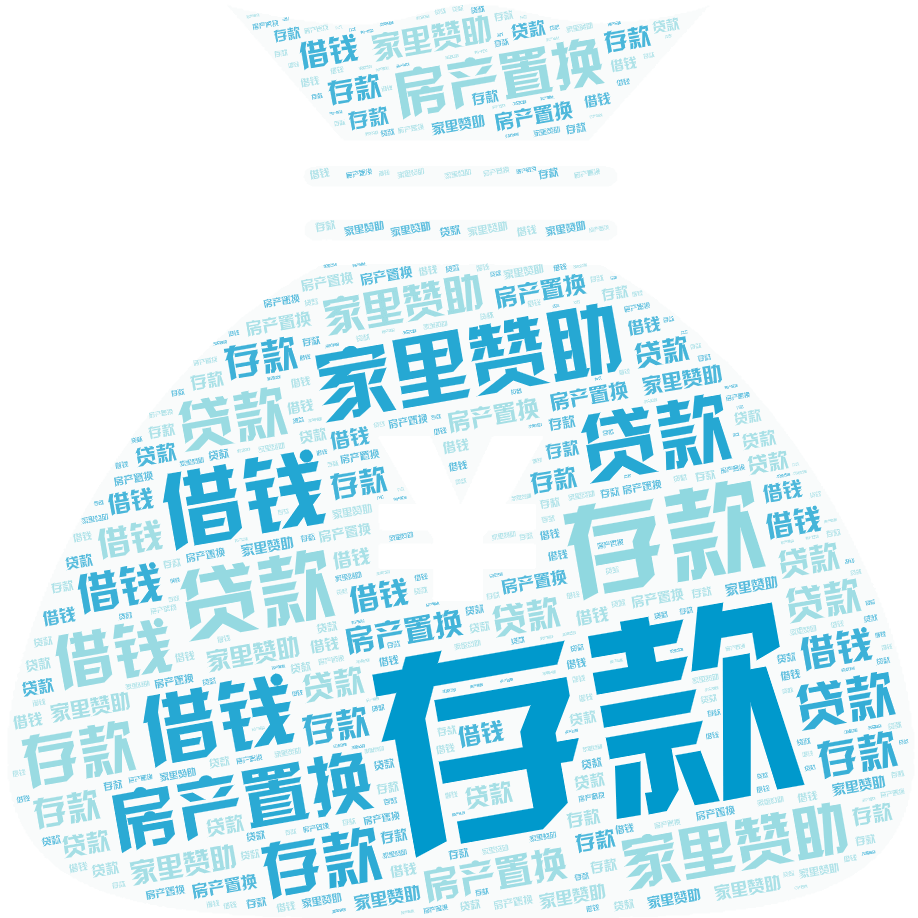 词云图,文字云图,存款,家里赞助,借钱,贷款,房产置换,,,,,