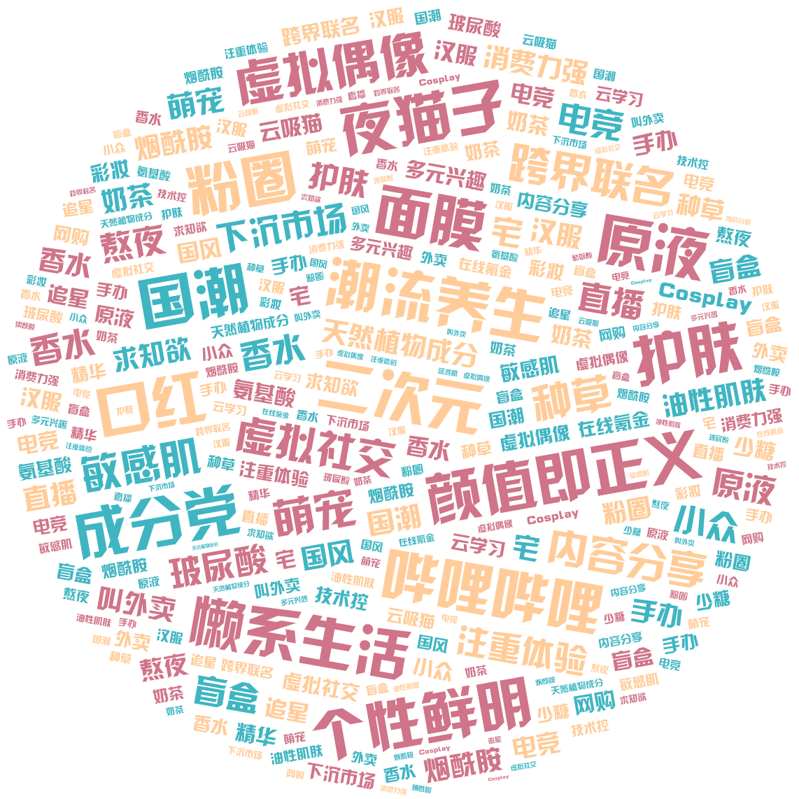 词云图,文字云图,二次元,颜值即正义,面膜,哔哩哔哩,夜猫子,潮流养生,成分党,懒系生活,个性鲜明,口红