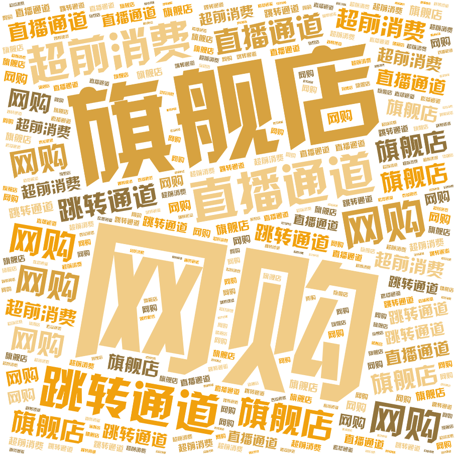 词云图,文字云图,网购,旗舰店,直播通道,跳转通道,超前消费,,,,,