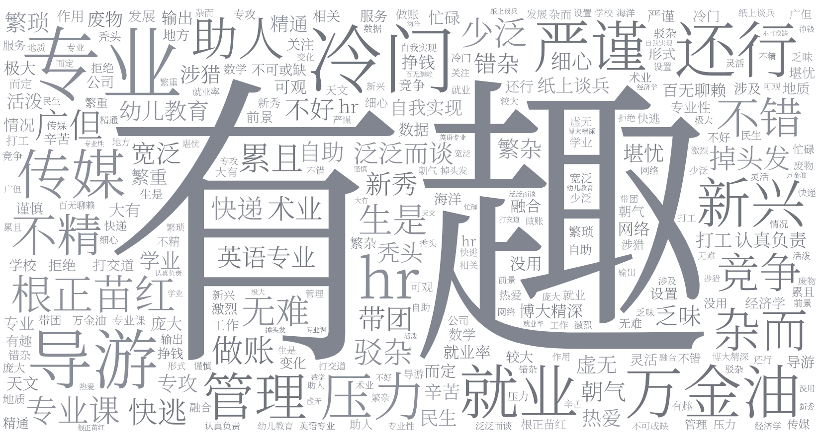 词云图,文字云图,有趣,专业,万金油,冷门,导游,还行,就业,严谨,传媒,压力